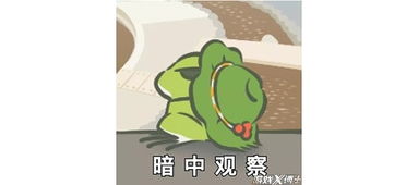 蛙儿子带回来的特产可以一键跳转淘宝链接 淘宝 版 旅行青蛙 现已开测