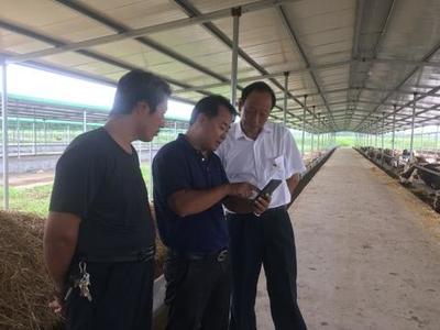 突破瓶颈创新探索 抓好结合谋划发展